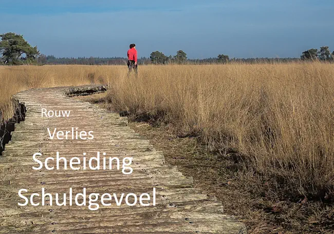 Houten pad door een open landschap met de woorden rouw, verlies, scheiding en schuldgevoel, passend bij een blog van Mieke Loor over omgaan met schuld na verlies.